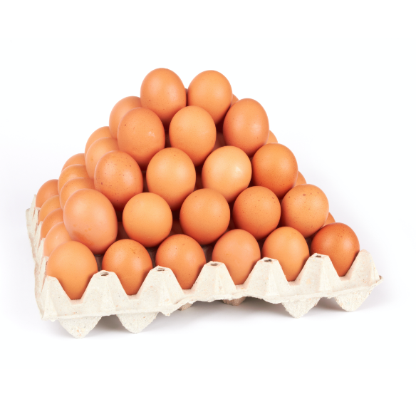 pile of eggs
